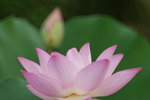 P1070017
