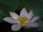 P6100024