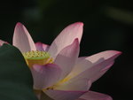 P6100027