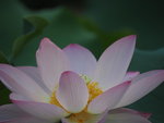 P6100050