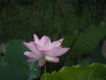P6100054