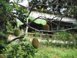 P8280051
