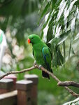 P4230002