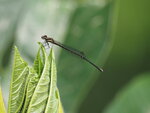 P4230025