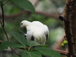P4230070