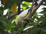 P4230091