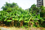 P1220569