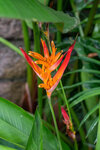 P1250421-1