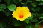 P1250458