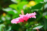 P1250459