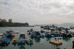 P1260103-1