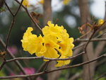 P2180242
