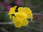 P2180243