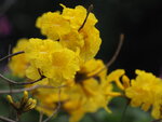 P2180250