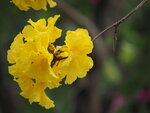 P2180253