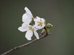P2180266