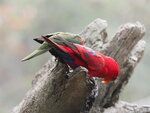 P2250192