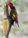 P2250234