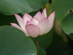 P7010035-1