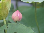 P7010047