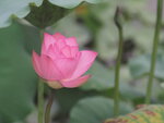 P7010049