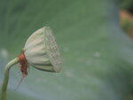 P7010051