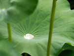 P7010058-1