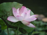 P7010067