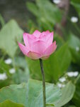 P7010087