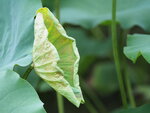 P7010091