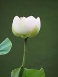 P7010093