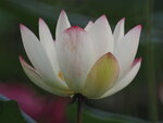 P7060012