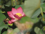 P7060059