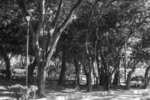 P1260570-1