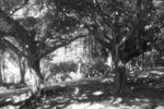 P1260577-1