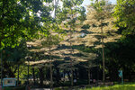P1260583-1