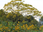 P1000916