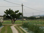 P1000935