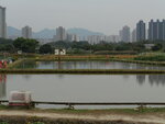 P1000936