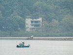 P1000960-1