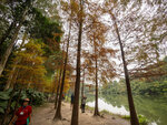 P1000994-1