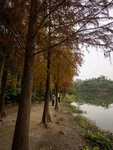 P1001001-1