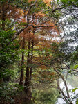 P1001012-1
