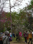 P1002305
