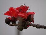 P1002334
