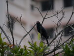 P1002353