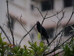 P1002355