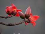 P1002390