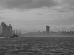 P1002427-1
