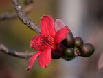 P1002816